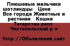 Плюшевые мальчики шотландцы › Цена ­ 500 - Все города Животные и растения » Кошки   . Татарстан респ.,Чистопольский р-н